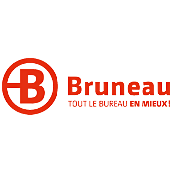 logo bruneau